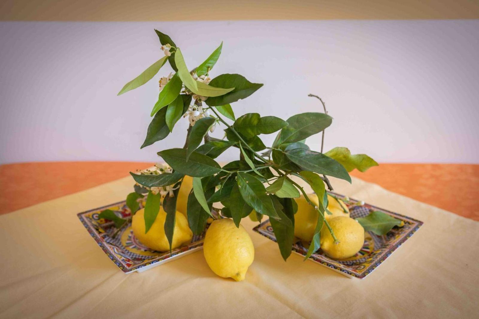 טראפטו Sunshine Apartments מראה חיצוני תמונה