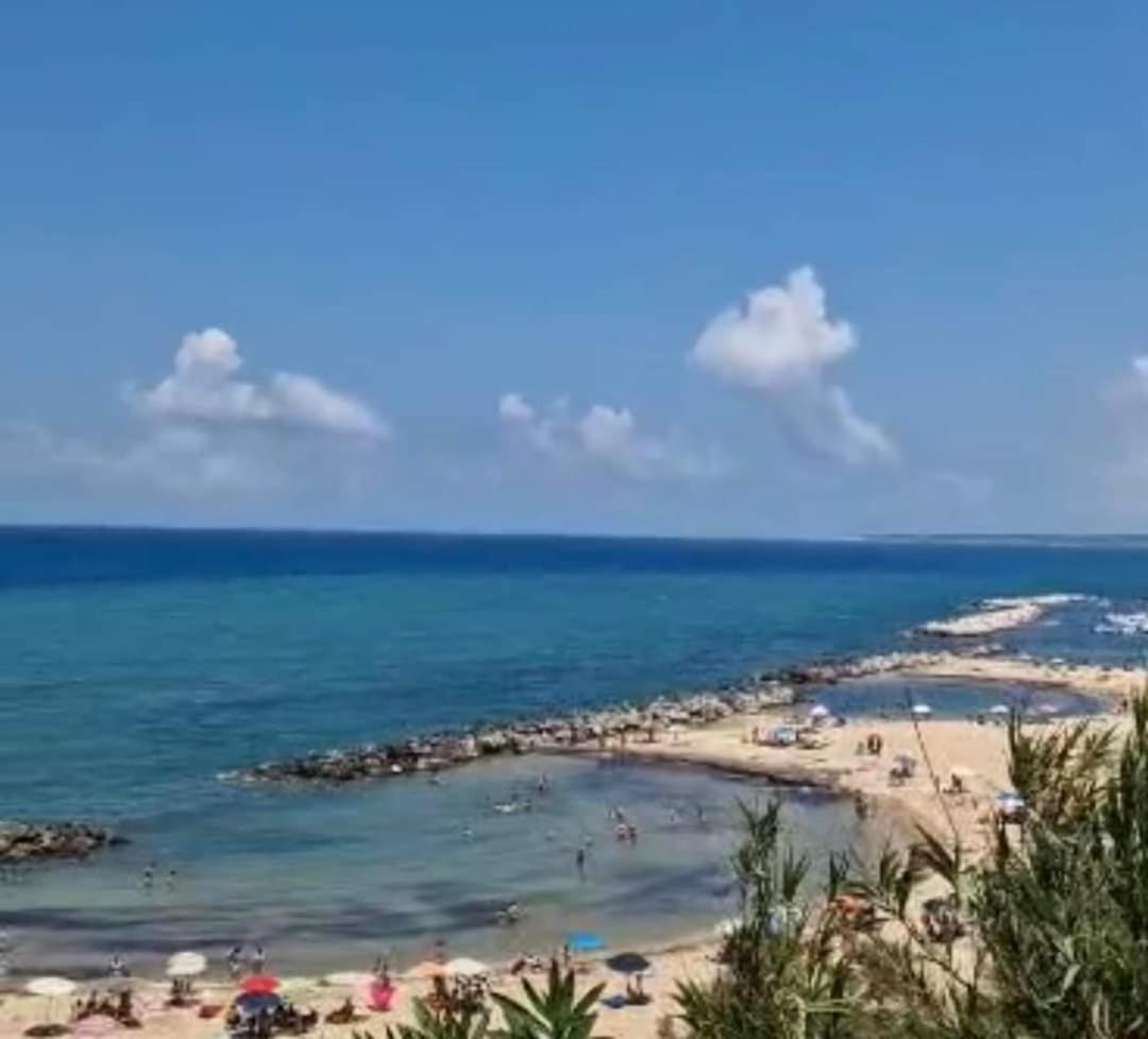 טראפטו Sunshine Apartments מראה חיצוני תמונה